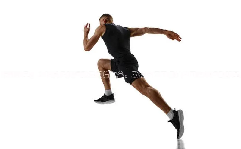 中欧体育全站app在线登录蓝色光标精彩纷呈！小松鼠足球运动员图片大全，助你全面了解这些可爱的运动明星