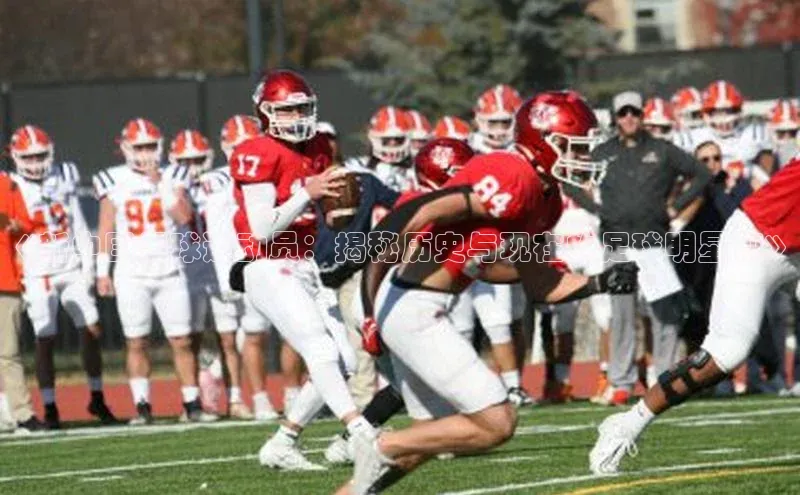 zoty中欧体育网址百度学术《新中国足球运动员：揭秘历史与现在的足球明星们》