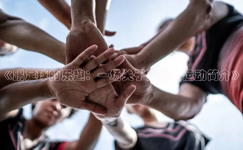 中欧体育app下载中文在线《踢足球的乐趣：一场关于足球的运动简介》