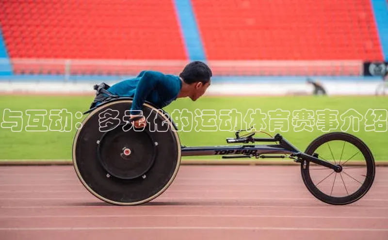 与互动：多元化的运动体育赛事介绍