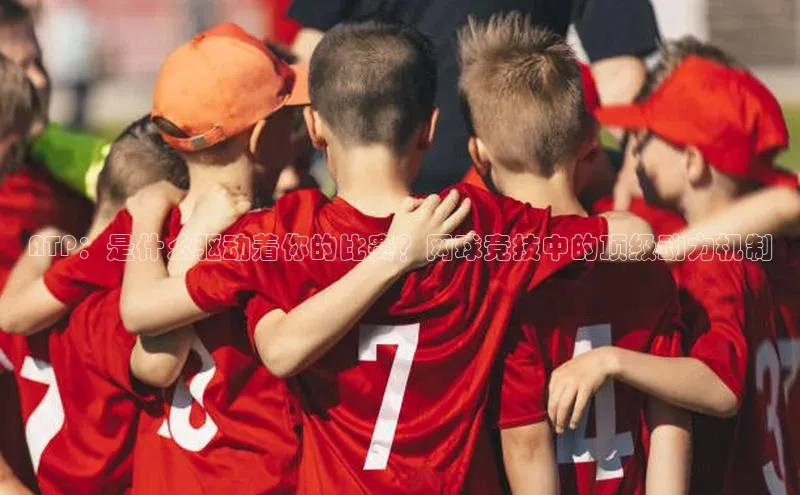 ATP：是什么驱动着你的比赛？网球竞技中的顶级动力机制