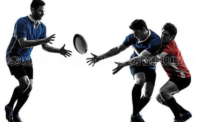 《赛场内外：一场激烈角逐的全方位解说指南》