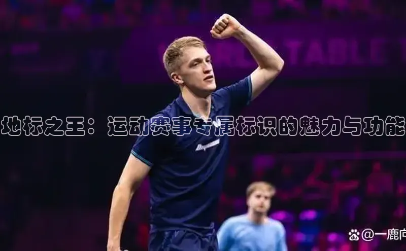 地标之王：运动赛事专属标识的魅力与功能