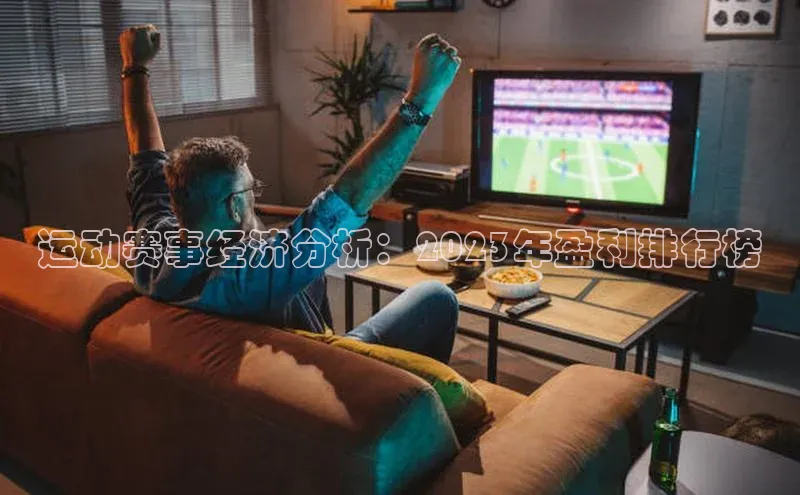 运动赛事经济分析：2023年盈利排行榜