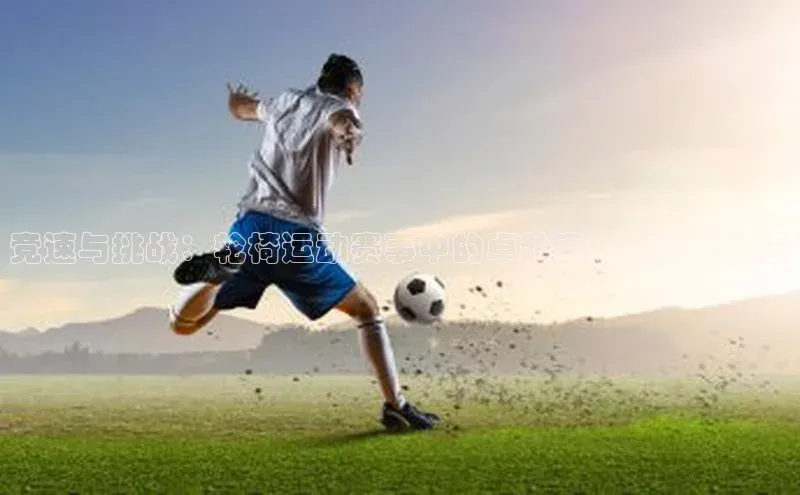 竞速与挑战：轮椅运动赛事中的卓越表现与文化传承