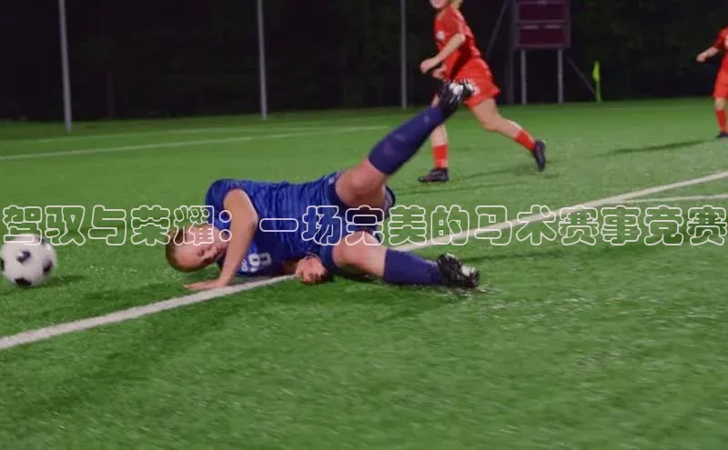 驾驭与荣耀：一场完美的马术赛事竞赛