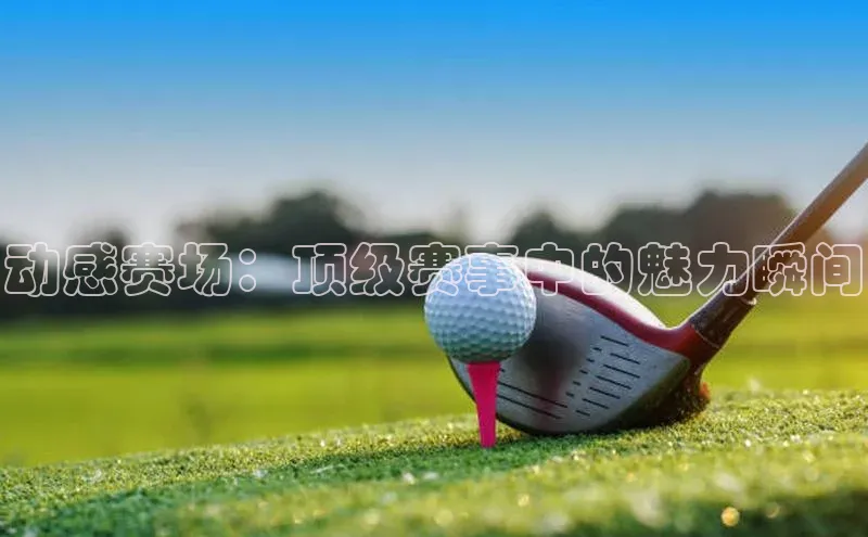 动感赛场：顶级赛事中的魅力瞬间