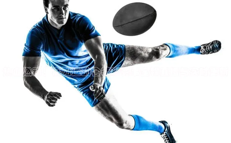 热血燃动！高阳运动会精彩赛事全程直播与实时更新