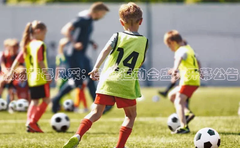 激扬青春风采：学校运动会盛大开幕公告