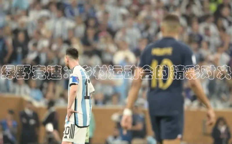 绿野竞速：乡村运动会的精彩对决