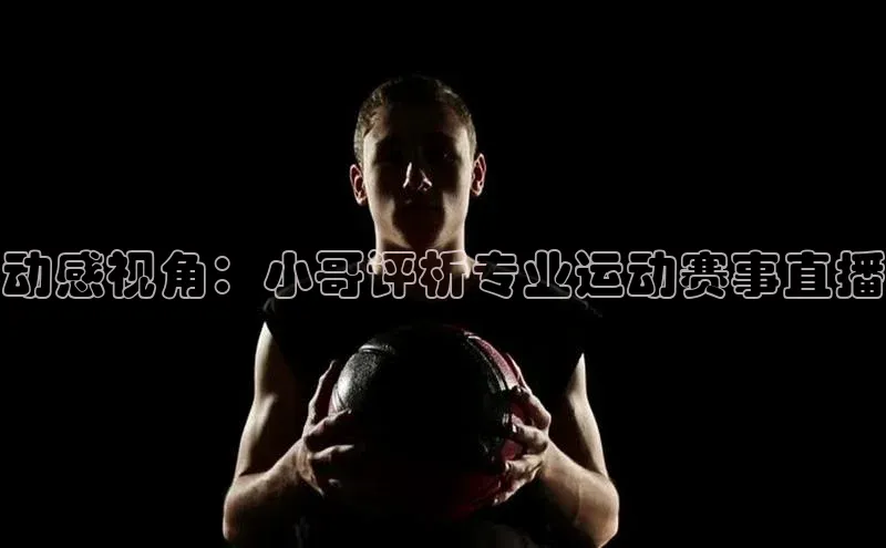 中欧体育网页版入口