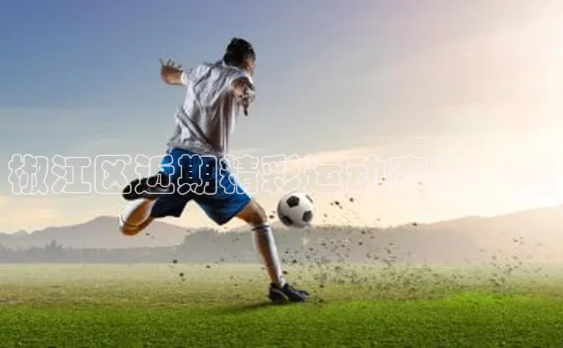 中欧体育最新地址