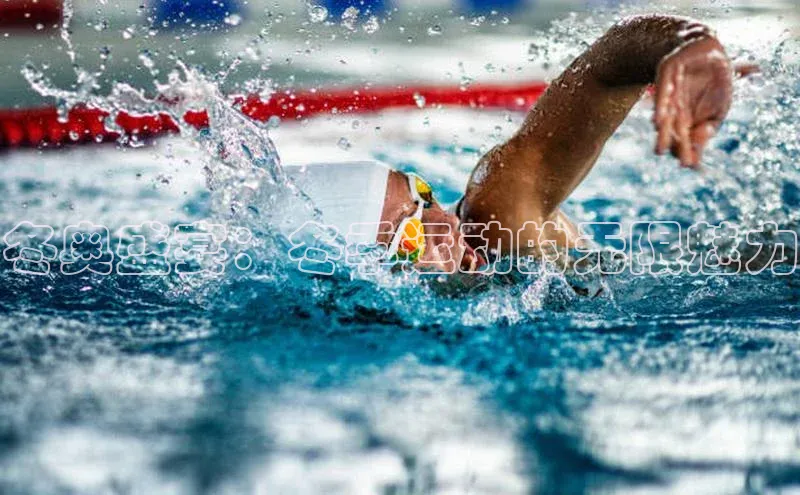 中欧体育官方平台入口网址