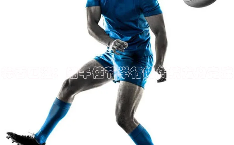 中欧体育下载地址VIP入口